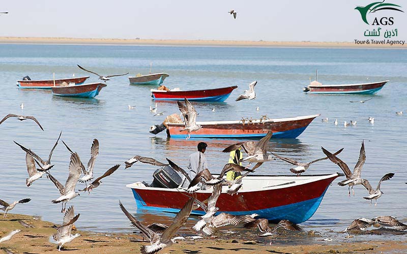 خلیج گواتر