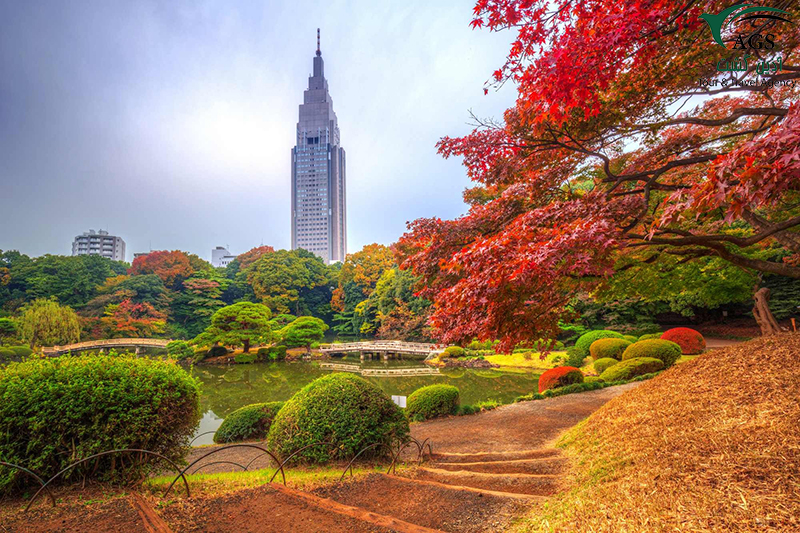Shinjuku Gyoen National Garden